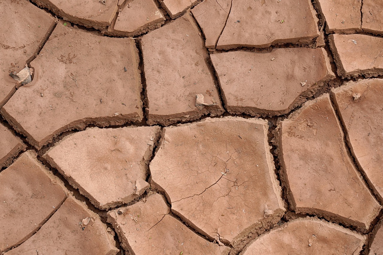 Climate Resilience / A Desert’s Thirst: The Laguna Salada Story…
