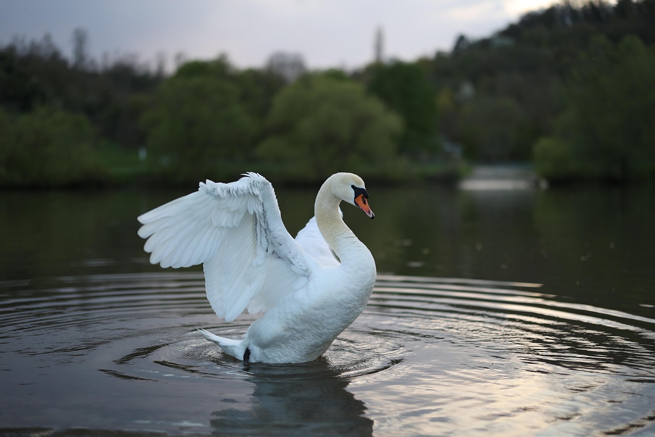 Water Reclamation ~ Unraveling The Mystery Of Water In The…