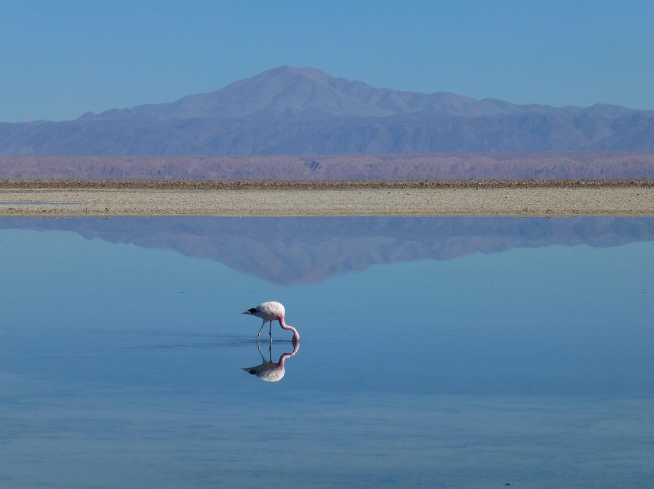 Water Reclamation | Unveiling The Secrets Of Laguna Salada: A…